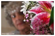 IMAGE GALLERY