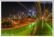IMAGE GALLERY