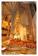 IMAGE GALLERY